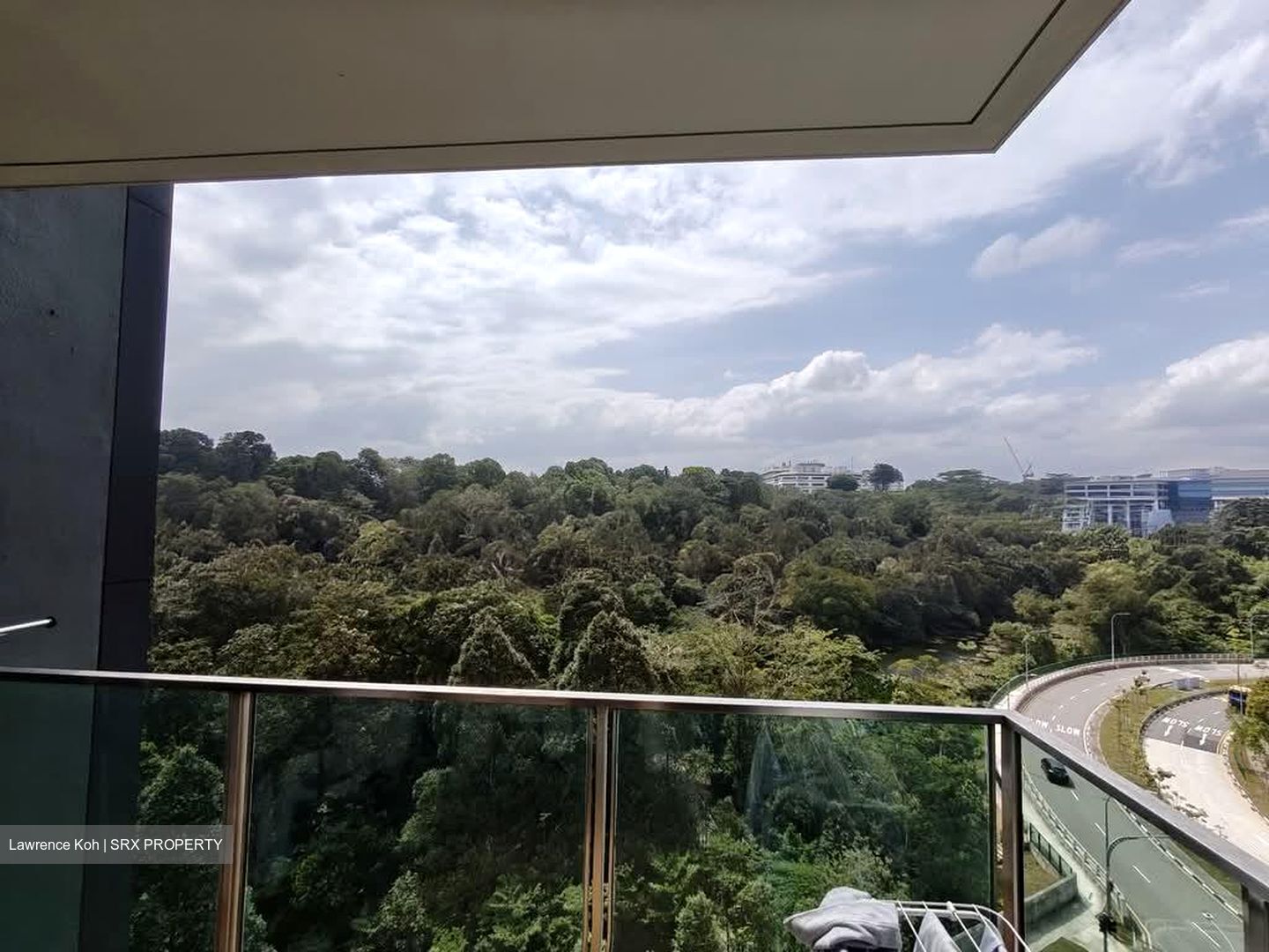 Normanton Park (D5), Apartment #566695931